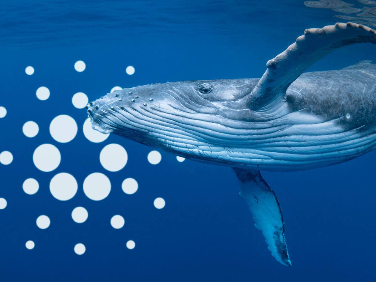 Cardano whale loses six million dollars in single swap after five years