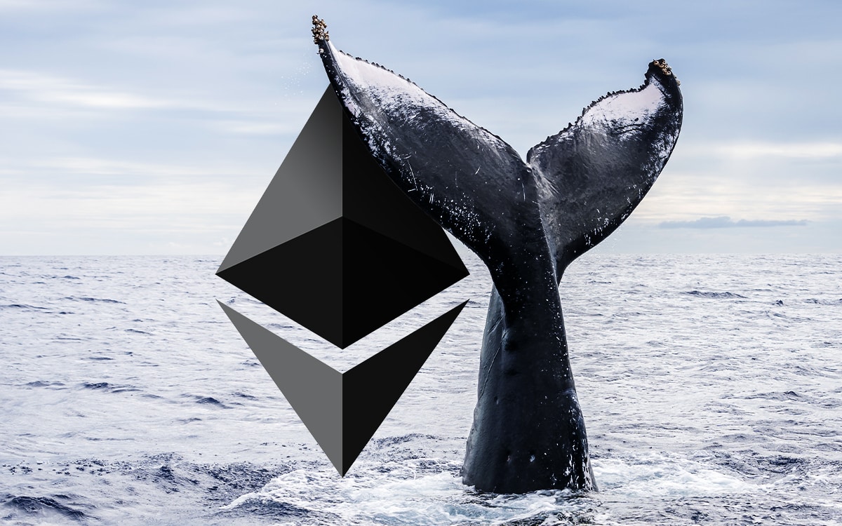 Ethereum Whale Losses Mirror Prior Market Bottoms