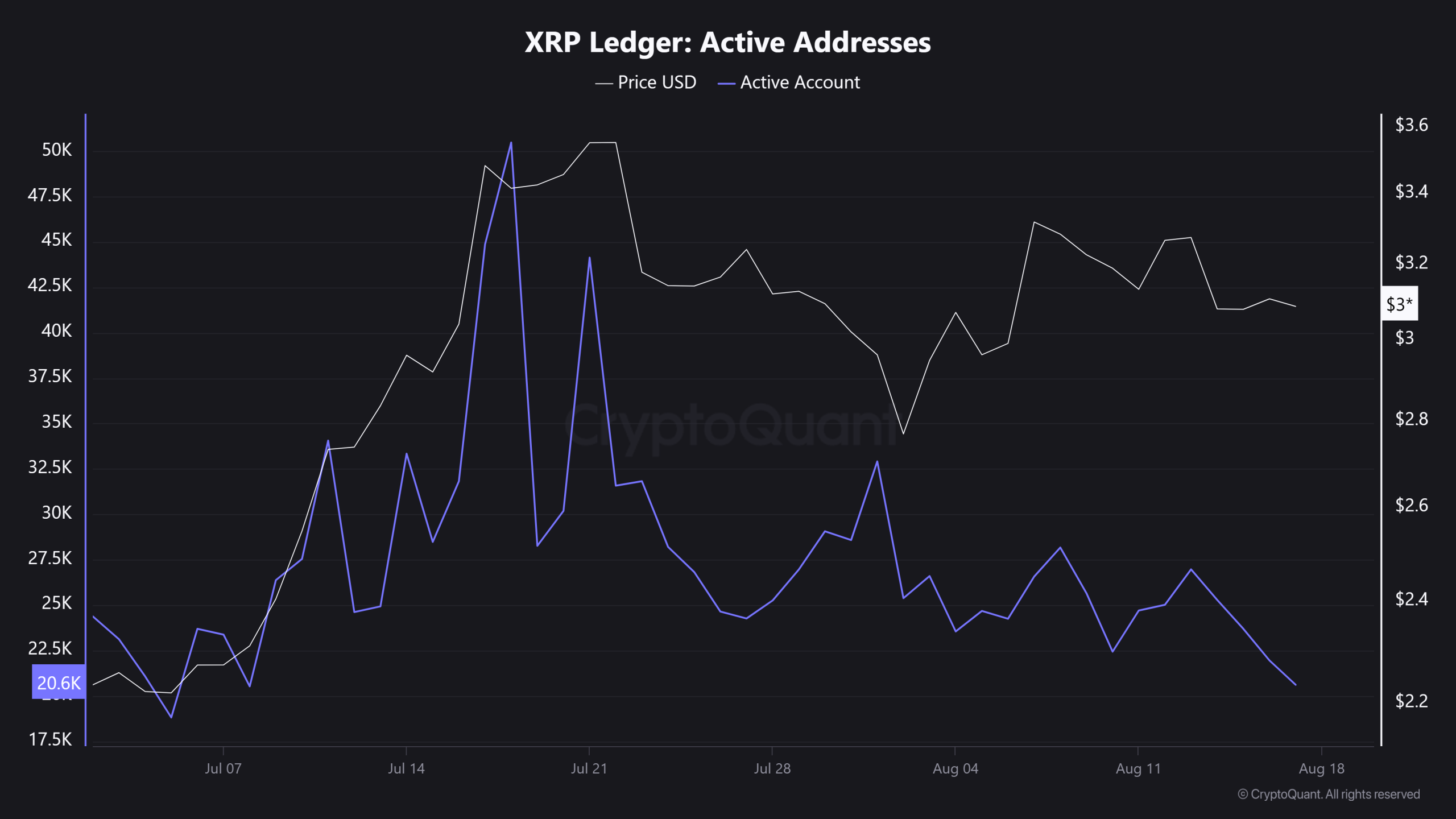 XRP-Ledger-Active-Addresses-scaled