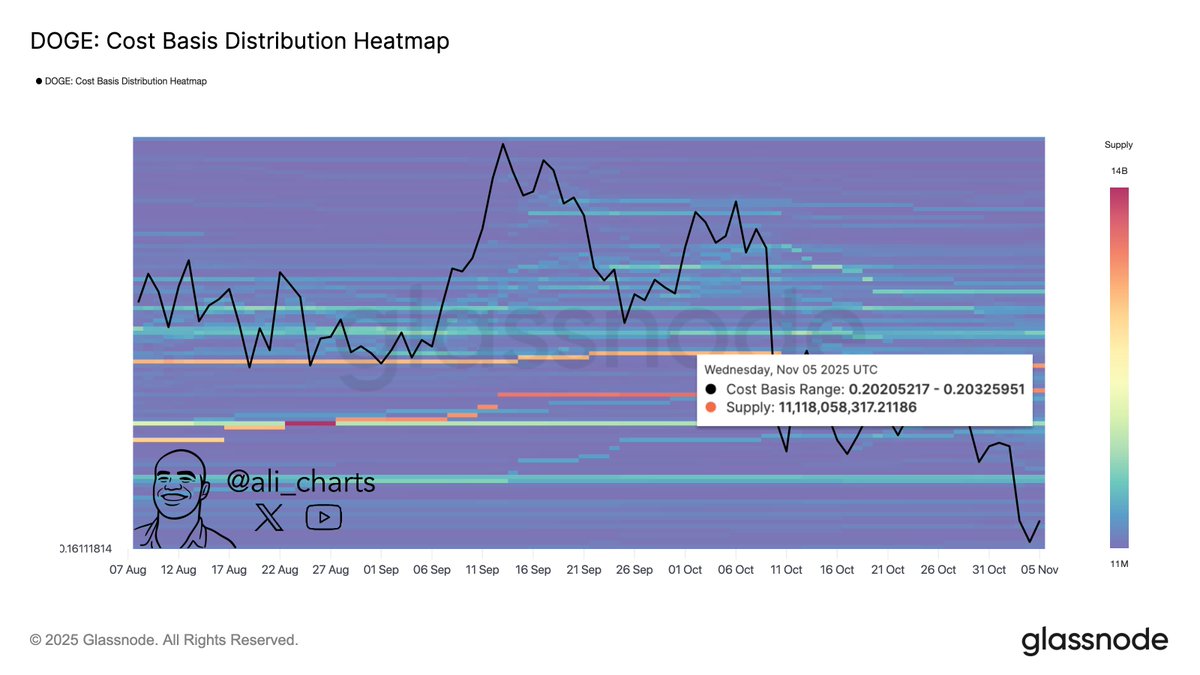 Glassnode heatmap showing Dogecoin whale accumulation around $0.20.