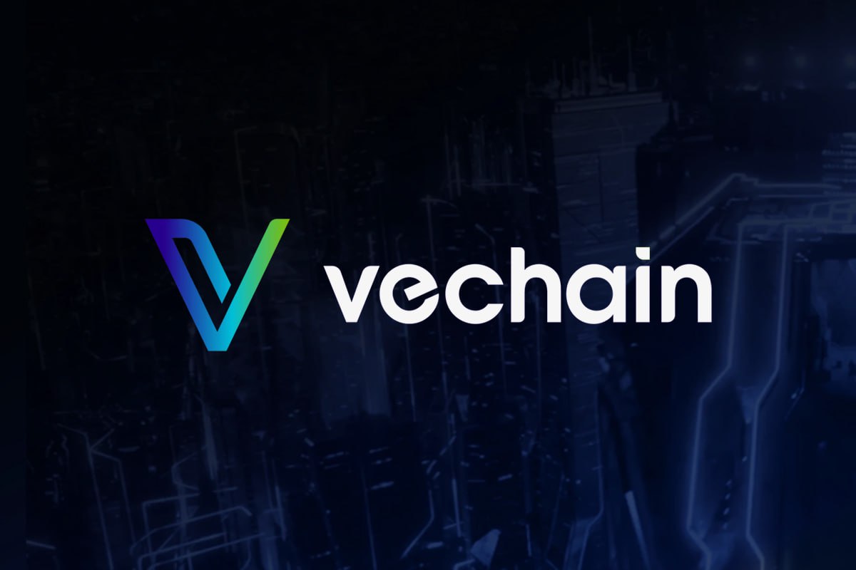 VeChain price hits multi-year lows while analyst tenfold opportunity VeChain price hits multi-year lows while analyst tenfold opportunity