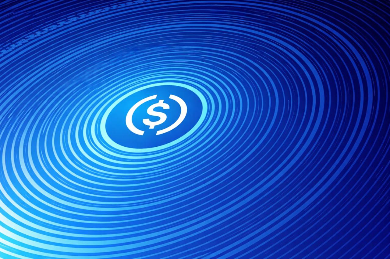 The 100 Richest USDC Wallets Are Now Holding a Record $32.7 Billion