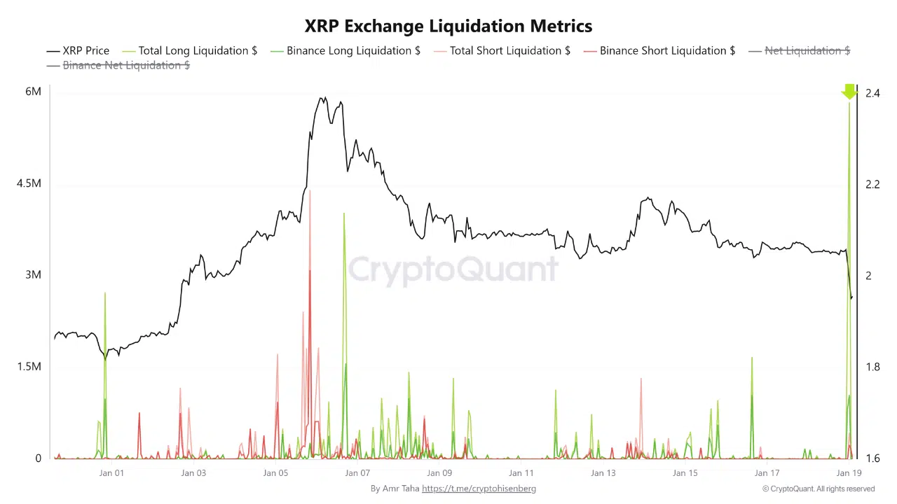 XRP Exchange Liquidation Metrics Chart