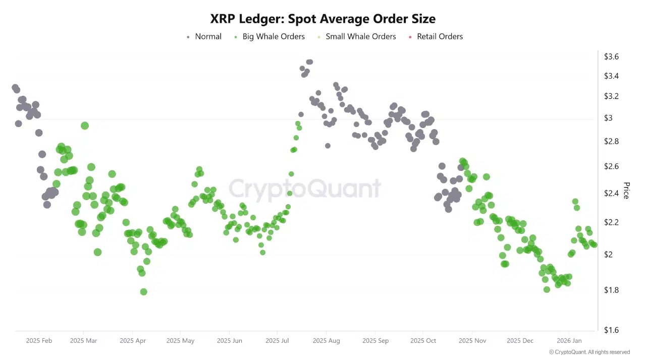 Chart showing XRP Spot Average Order Size with increasing green dots representing whale orders.