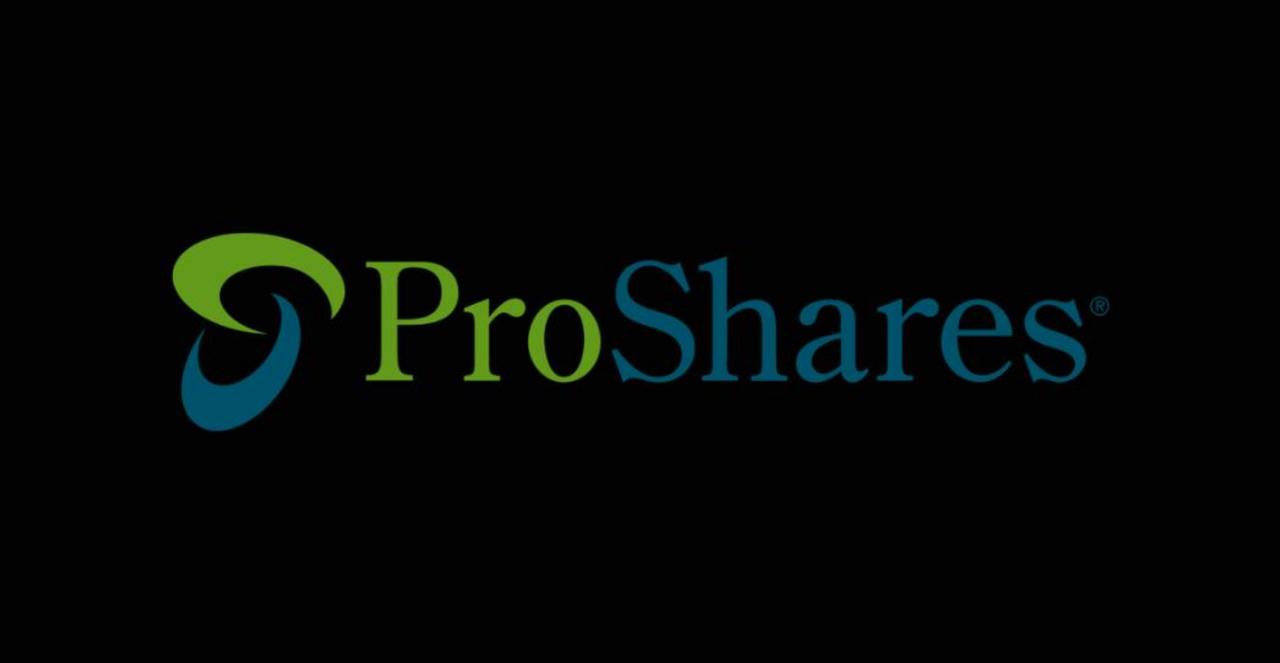 ProShares’ New ETF Breaks Record With $17B First-Day Volume